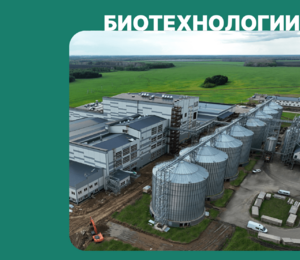 A New Level of Russian Biotechnology: ZAVKOM-ENGINEERING Completes Construction of Russia's Largest Pea Deep Processing Plant